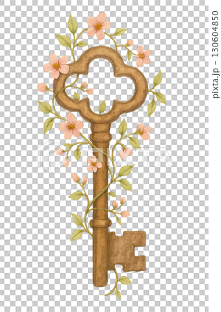 Vintage ornate skeleton key entwined with tiny climbing vines on transparent PNG background with clean lines 130604850