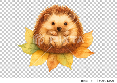 Adorable hedgehog curled up on colorful fallen autumn leaves with transparent background easy to use clean lines PNG 130604896