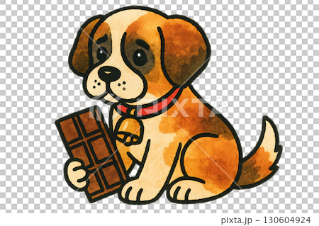 Adorable Saint Bernard puppy wearing cowbell collar exploring Swiss mountain landscape with chocolate treat transparent background 130604924
