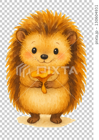 Adorable small hedgehog gently holding fresh chanterelle mushroom on transparent background in PNG format with clean lines 130604931