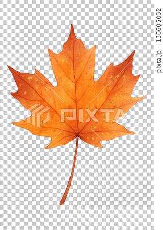 Transparent PNG watercolor maple leaf with metallic gold fleck accents isolated on white background 130605032
