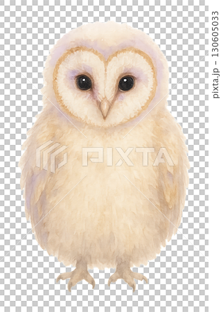 Baby barn owl chick perched on delicate branch against soft cream and sand background transparent PNG 130605033