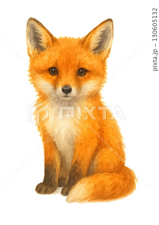 Adorable young red fox cub sitting among bright autumn leaves with transparent background PNG illustration Adorable young red fox cub sitting among bright autumn leaves with transparent background PNG illustration 130605132