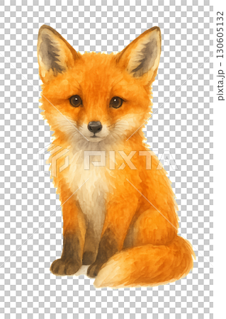 Adorable young red fox cub sitting among bright autumn leaves with transparent background PNG illustration Adorable young red fox cub sitting among bright autumn leaves with transparent background PNG illustration 130605132