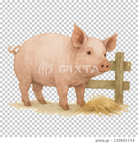 Pink Farm Pig Standing by Low Wooden Fence with Hay on Transparent PNG Background Pink Farm Pig Standing by Low Wooden Fence with Hay on Transparent PNG Background 130605154