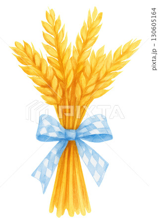 Bundle of golden wheat stalks neatly tied with jute twine on transparent PNG background 130605164