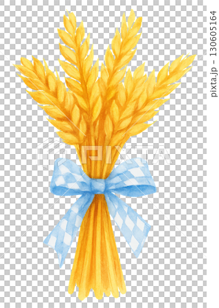 Bundle of golden wheat stalks neatly tied with jute twine on transparent PNG background 130605164