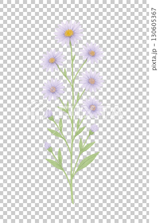 Clean Lines watercolor effect illustration of cozy knit winter beanie hat with fluffy pom pom on transparent background PNG image 130605367