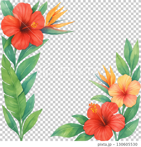 Tropical Hibiscus and Bird of Paradise Watercolor Floral Frame with Transparent Background PNG 130605530