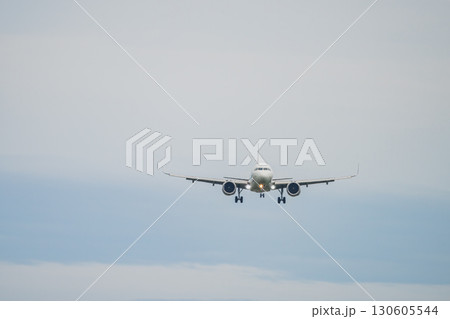 牧之原市の富士山静岡空港に着陸する飛行機(静岡県) 130605544