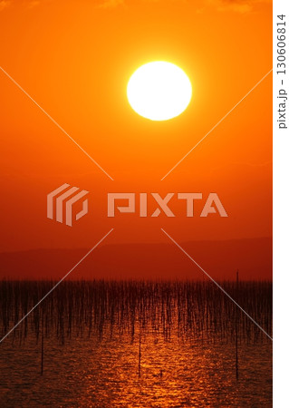 大牟田市　有明海　海苔畑　元旦の夕暮れ、 130606814