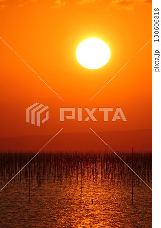 大牟田市　有明海　海苔畑　元旦の夕暮れ、 130606818