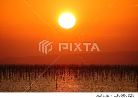 大牟田市　有明海　海苔畑　元旦の夕暮れ、 130606829