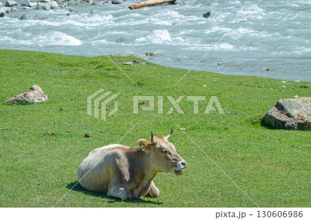 キルギス_ バルスコオン_国道A364号線 130606986