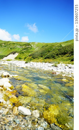夏の立山を流れる清らかな川 夏の立山を流れる清らかな川 130607255