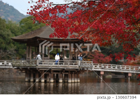 11月、奈良公園の浮見堂 11月、奈良公園の浮見堂 130607394