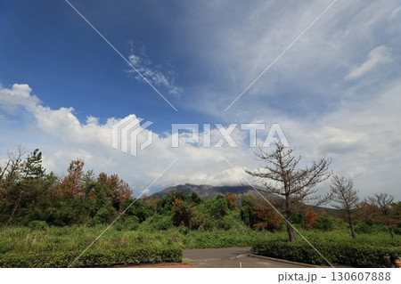 桜島 さくらじま 火山 130607888