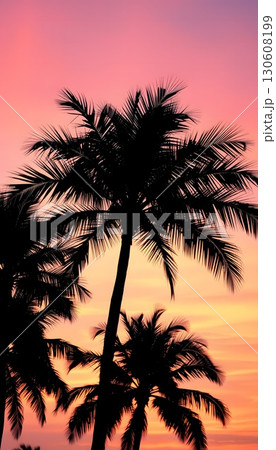Silhouetted palm trees against a vibrant sunset sky Tropical foliage at dusk 130608199