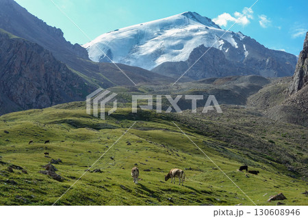 キルギス_ドングルメ川沿いのトレイル 130608946