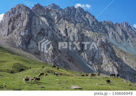 キルギス_ドングルメ川沿いのトレイル 130608949
