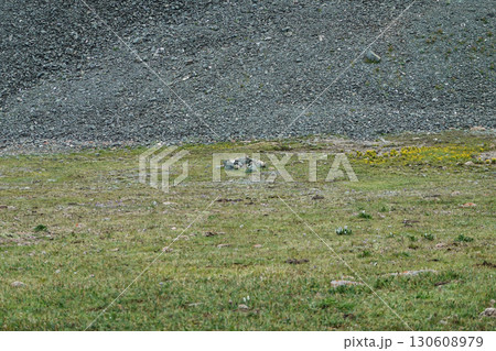 キルギス_ドングルメ川沿いのトレイル 130608979