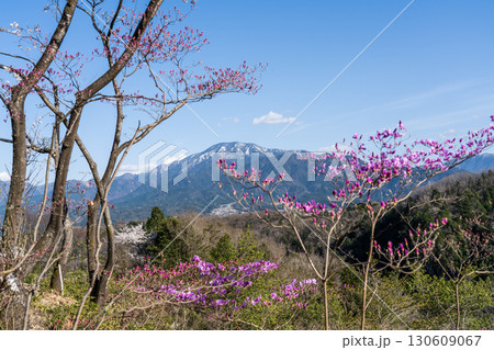 春の恵那山遠望 130609067
