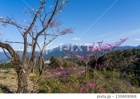 春の恵那山遠望 130609068