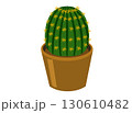 鉢植えのサボテンのイラスト 130610482