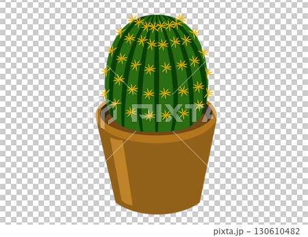 鉢植えのサボテンのイラスト 鉢植えのサボテンのイラスト 130610482