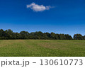 Green field blue sky with solitary cloud 130610773