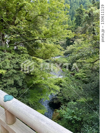 山中温泉 こおろぎ橋(石川県 加賀市) 山中温泉 こおろぎ橋(石川県 加賀市) 130611119