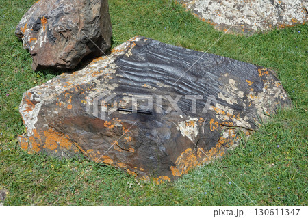 キルギス_チョコリキョリ湖 130611347