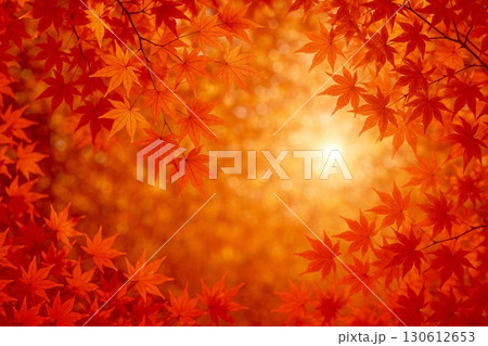 秋　紅葉　モミジ　　 130612653