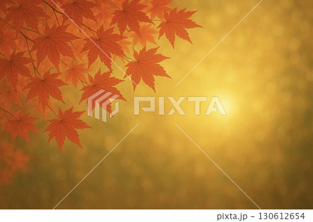 秋　紅葉　モミジ　　 130612654