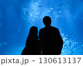 水族館で水槽を見るカップル 130613137