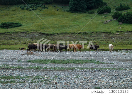 キルギス_ジュク川沿いのトレイル 130613183