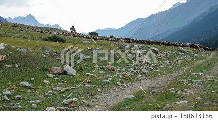 キルギス_ジュク川沿いのトレイル キルギス_ジュク川沿いのトレイル 130613186