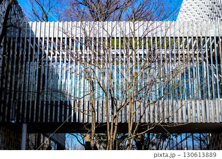 青空と木々を背景に撮影された渡り廊下 青空と木々を背景に撮影された渡り廊下 130613889