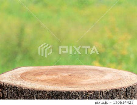 Natural wooden empty tree stump table top, round podium with green blurred background. Tree trunk wood Podium display for food and products on nature background. Rustic Tree Stump in Lush Green 130614423