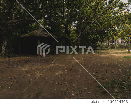 由布島 由布島 130614568