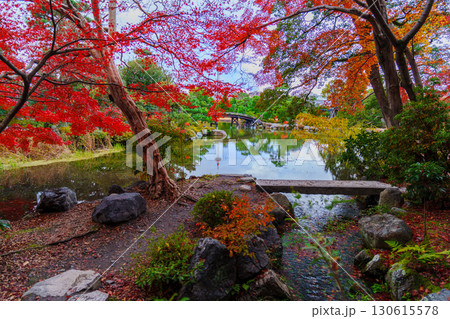 京都　渉成園　印月池の侵雪橋と水に映る京都タワー 130615578