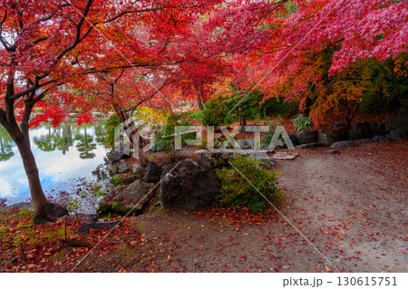京都　渉成園　印月池と丹楓渓 130615751