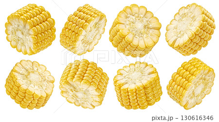 Corn cob slices isolated on white background with clipping path, collection, full depth of field Corn cob slices isolated on white background with clipping path, collection, full depth of field 130616346