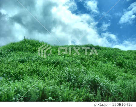 草原ボケ背景-15 130616419