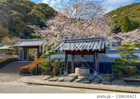 佐伯市 茶室汲心亭と満開の桜 佐伯市 茶室汲心亭と満開の桜 130616423