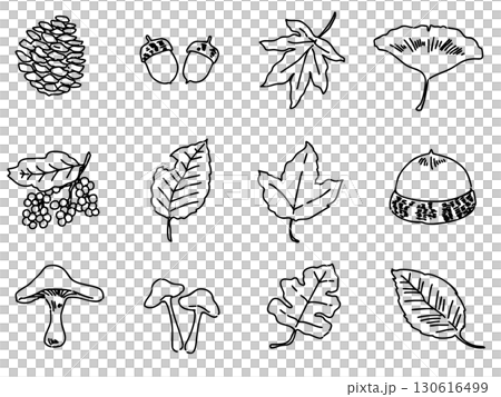 秋葉、橡實和其他小物品的單色線條插圖和圖標集 130616499