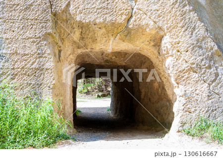 瓜割石庭公園の自然美 130616667