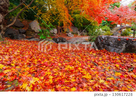 京都　渉成園の丹楓渓 落葉の絨毯 130617228
