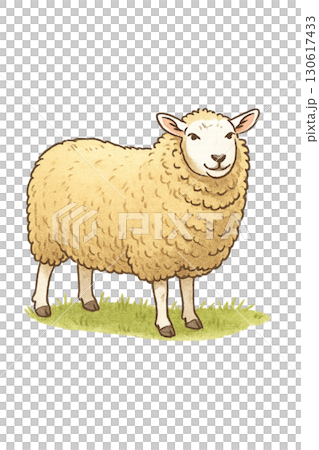 可愛的綿羊圖 可愛的綿羊圖 130617433