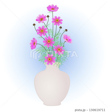 花瓶に活けられたコスモスのイラスト 花瓶に活けられたコスモスのイラスト 130619711